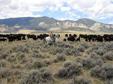 USA-Montana-Lonesome Spur Ranch